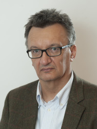 Körösényi András, Illés Gábor és Metz Rudolf angol nyelvű cikke 